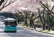 What-You-Should-Know-About-Casino-Bus-Trips-on-guestposting