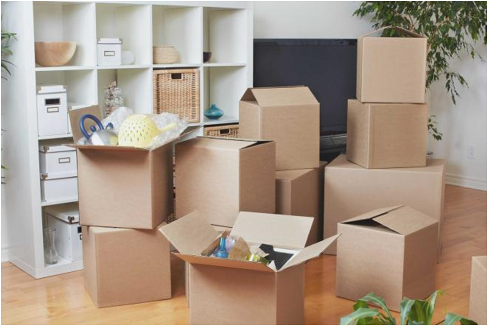best Canadian moving companies